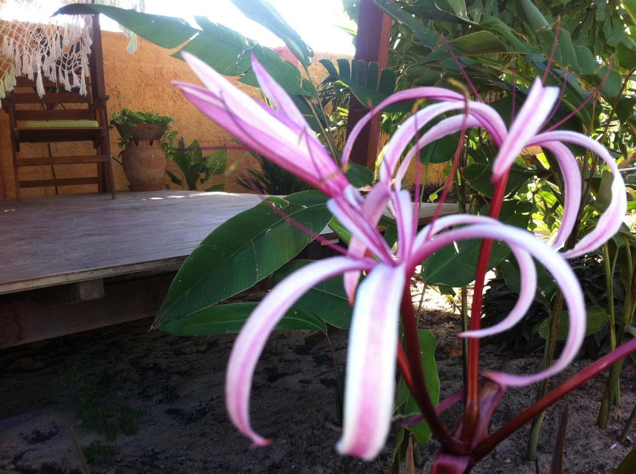 Casa Do Jardim Bed & Breakfast Canoa Quebrada Dış mekan fotoğraf